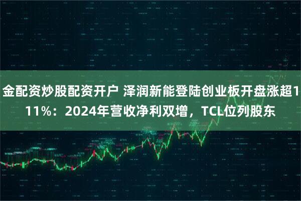 金配资炒股配资开户 泽润新能登陆创业板开盘涨超111%：2024年营收净利双增，TCL位列股东