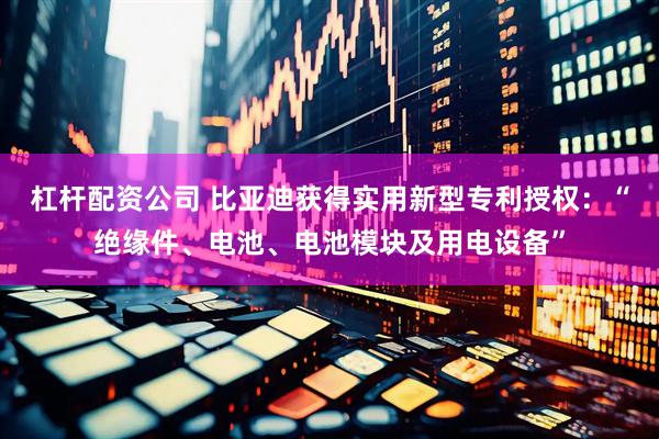 杠杆配资公司 比亚迪获得实用新型专利授权：“绝缘件、电池、电池模块及用电设备”